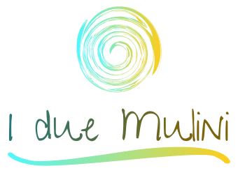Logo I Due Mulini